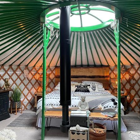 Hotel O Dan Y Coed Luxury Yurt With Hot Tub Chwilog Zewnętrze zdjęcie